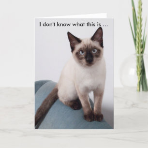 Grumpis à regarder le chat sur une carte d'anniver