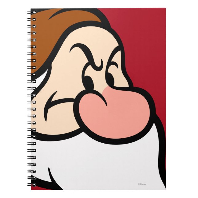 Grumpy 13 notebook (Front)