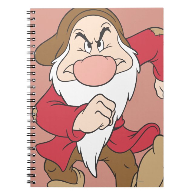 Grumpy 6 notebook (Front)