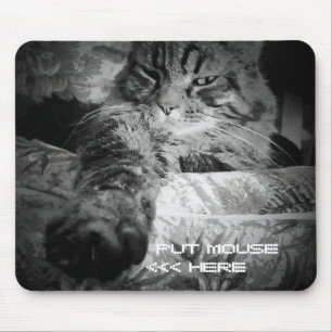Grumpy Angel Cat wants your mouse Pad