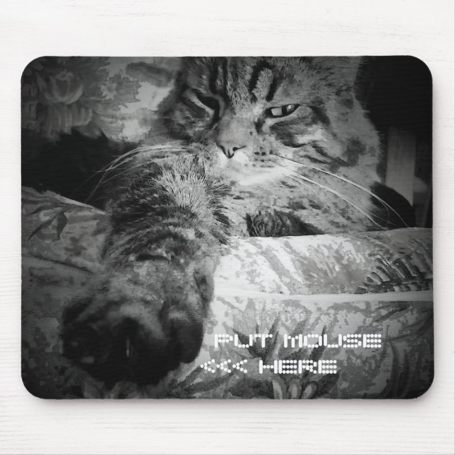 Grumpy Angel Cat wants your mouse Pad (Front)