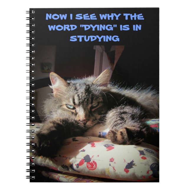 Grumpy Angel: Studying is killin' me Notebook (Front)