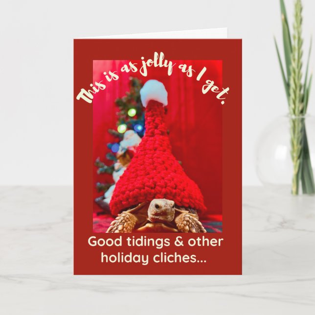 Grumpy baby sulcata tortoise in red hat Holiday Card (Front)