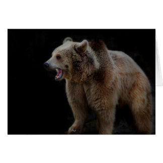 Grumpy Bear!