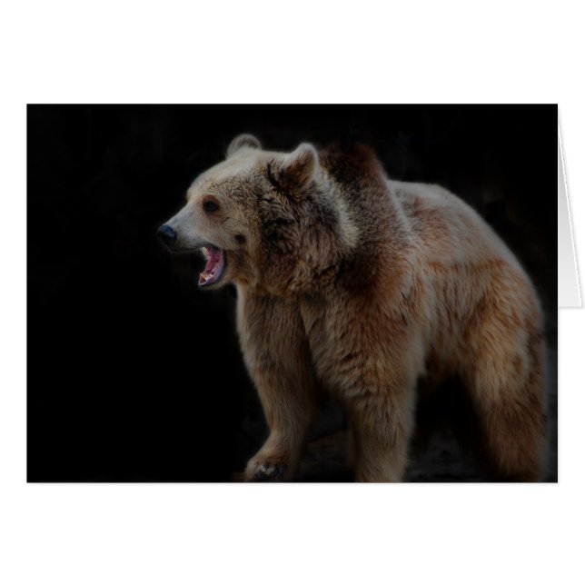 Grumpy Bear! (Front Horizontal)