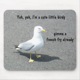 Grumpy Begger Seagull Animal Meme Mouse Pad