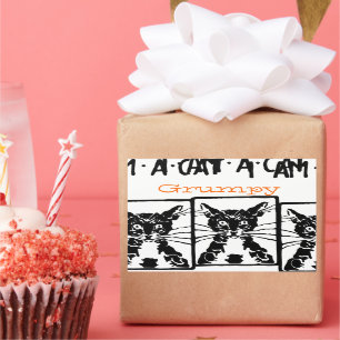 Grumpy Black Cat for the Grumpy Person or Cat Sticker