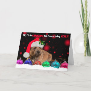 Grumpy Border Terrier Dog Wearing A Santa Hat, Wit Holiday Card