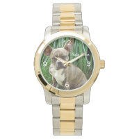 Grumpy Boston Terrier Dog Watch