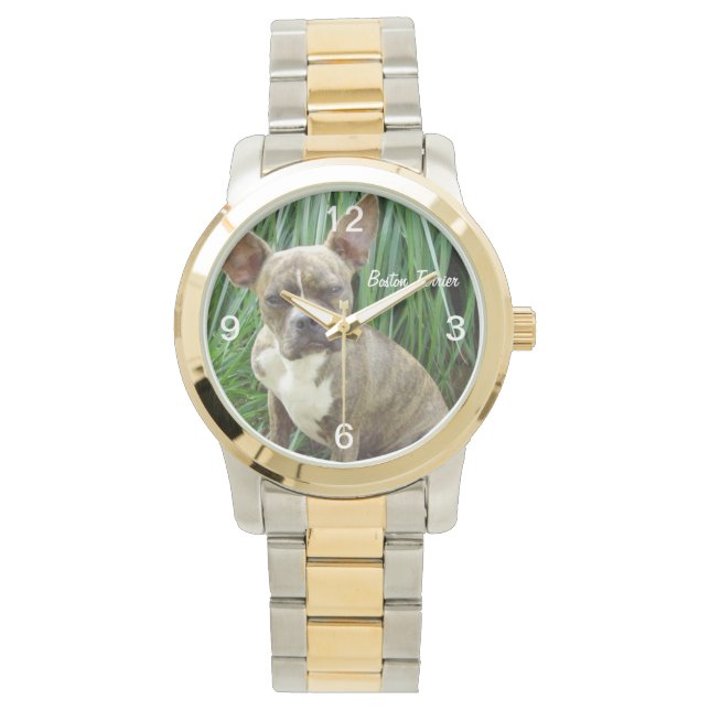 Grumpy Boston Terrier Dog Watch (Front)