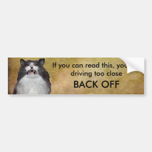 Grumpy Cat Back Off Bumper Sticker Template