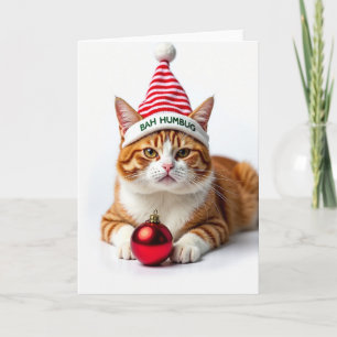 Grumpy Cat Christmas Card