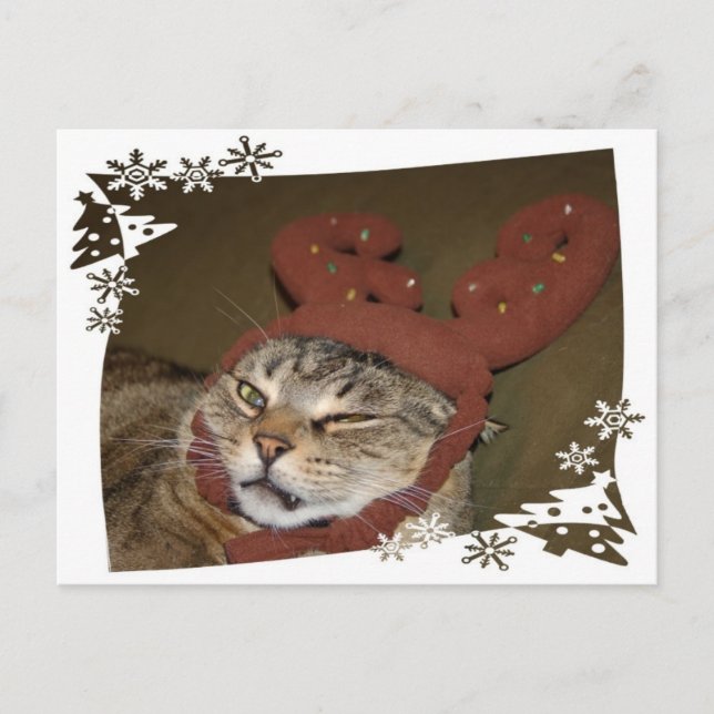Grumpy Cat Christmas Postcard (Front)