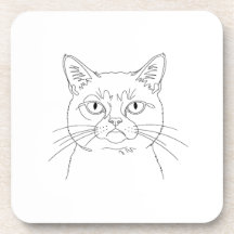 Grumpy cat