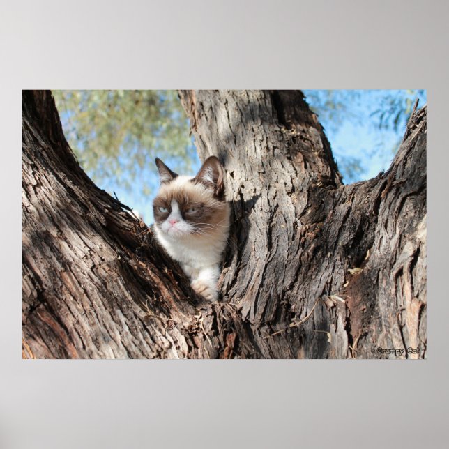 Grumpy Cat™ dans un arbre Poster (Devant)