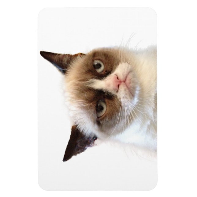 Grumpy Cat Flexible Magnet (Vertical)