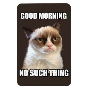 Grumpy Cat Flexible Magnet
