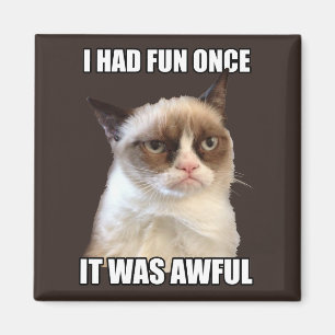 Grumpy Cat - I had fun once Magnet