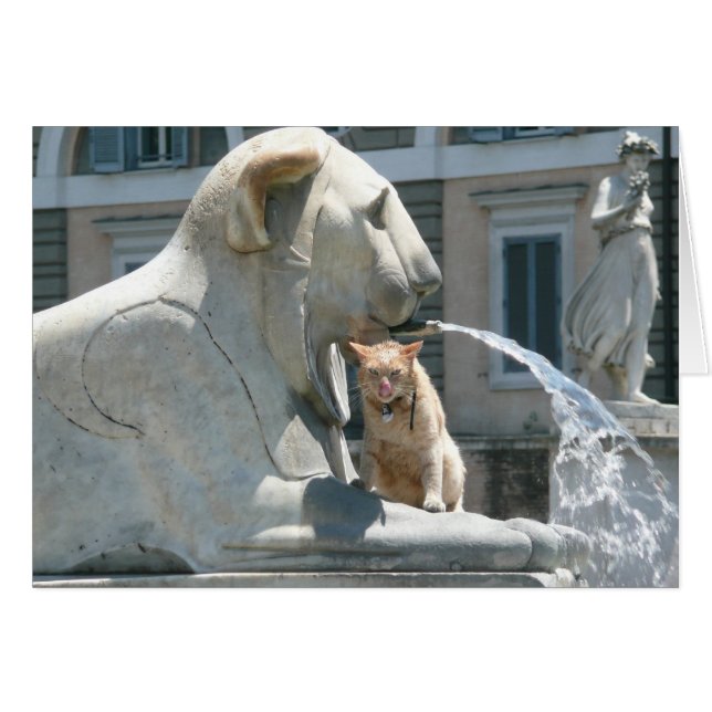 Grumpy Cat in Rome, Fountain in Piazza (Front Horizontal)