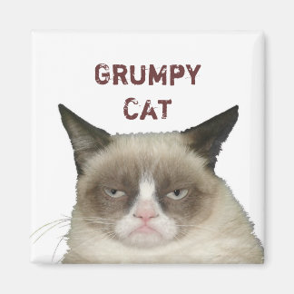 Grumpy Cat Magnet with Text