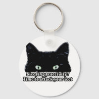 Grumpy cat meme for cat lovers and kitten owners