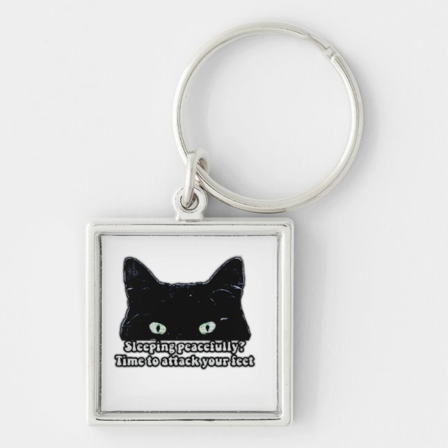 Grumpy cat meme for cat lovers and kitten owners keychain (Front)