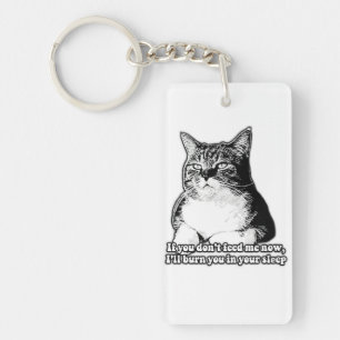 Grumpy cat meme for cat lovers and owners keychain