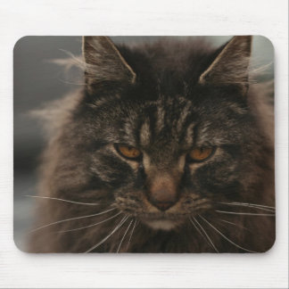 Grumpy Cat Mouse Pads, Grumpy Cat Mouse pad designs