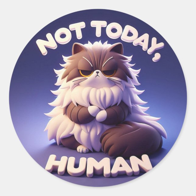 Grumpy Cat “Not Today, Human” Craft Sticker (Front)