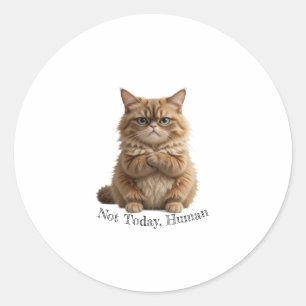 Grumpy Cat "Not Today, Human" Sticker Funny Fluffy