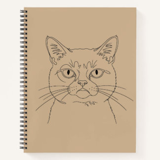 grumpy cat notebook