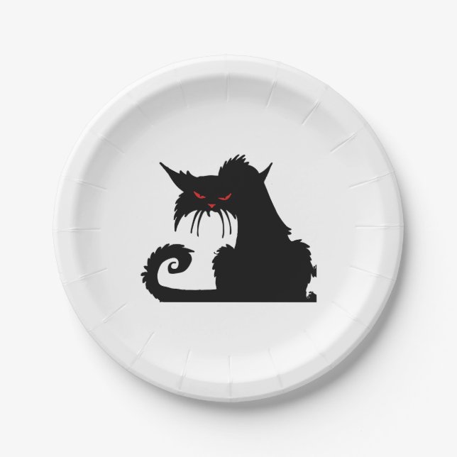 Grumpy cat    paper plate (Front)