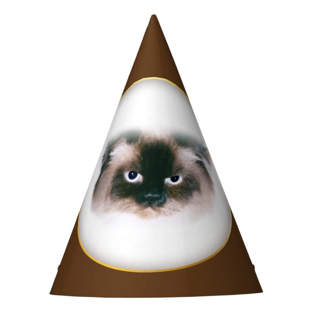 Grumpy Cat Party Hat (Front)