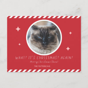 Grumpy Cat photo funny christmas red family name Holiday Postcard
