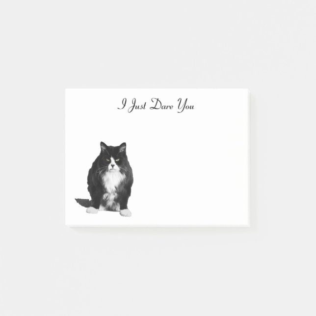 Grumpy Cat Post-It-Notes Post-it Notes (Front)