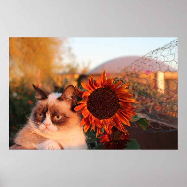 Grumpy Cat Sunflower Poster (Front)