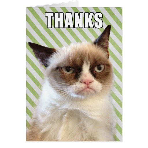 Grumpy Cat™ Thank You Card | Zazzle