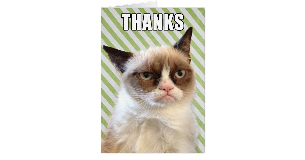 grumpy_cat_thank_you_card r86fb72ab23934dda84d7d15a8f683109_xvuai_8byvr_630