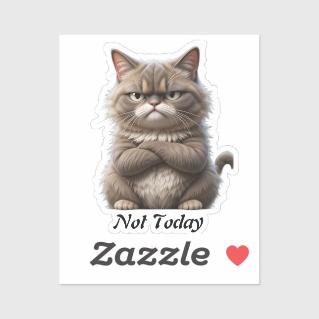 Grumpy Cat Vinyl Sticker – "Not Today" Mood Decal (Sheet)