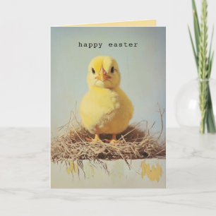 Grumpy Chick in Nest Invitation