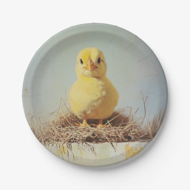 Grumpy Chick in Nest Paper Plate (Front)