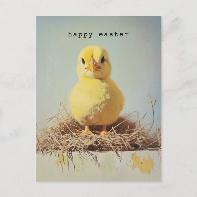 Grumpy Chick in Nest Postcard (Front)