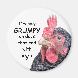 Grumpy Chicken Funny Frowning Hen Photo Magnet