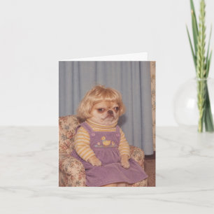 Grumpy Chihuahua's Retro Picture Day Portrait Card