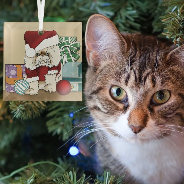 Grumpy Christmas Cat Santa Funny Holiday Glass Ornament (Creator Uploaded)