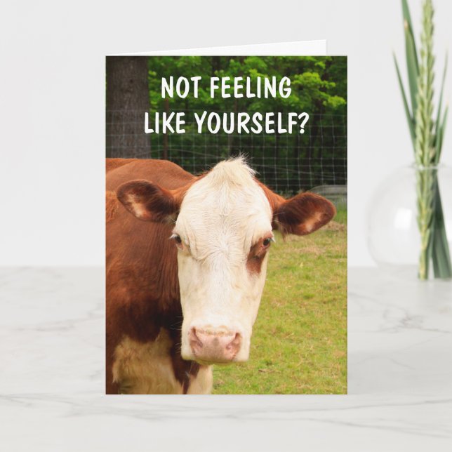 Grumpy Cow Cancer Support Card (Front)