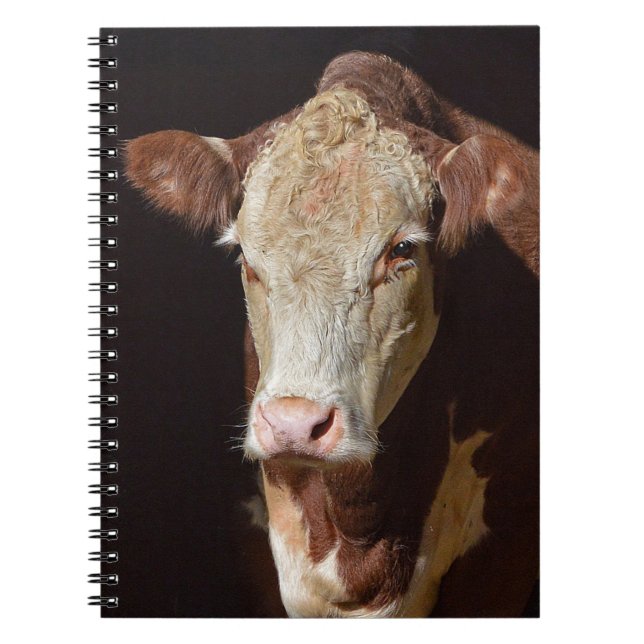 Grumpy Cow Notebook (Front)