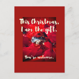 Grumpy Cute Baby Sulcata Tortoise Christmas Gift Postcard