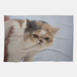 Grumpy Face Cat Kitchen Towel