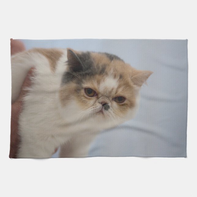 Grumpy Face Cat Kitchen Towel (Horizontal)